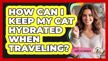 How Can I Keep My Cat Hydrated When Traveling? - Happy Cat Handbook