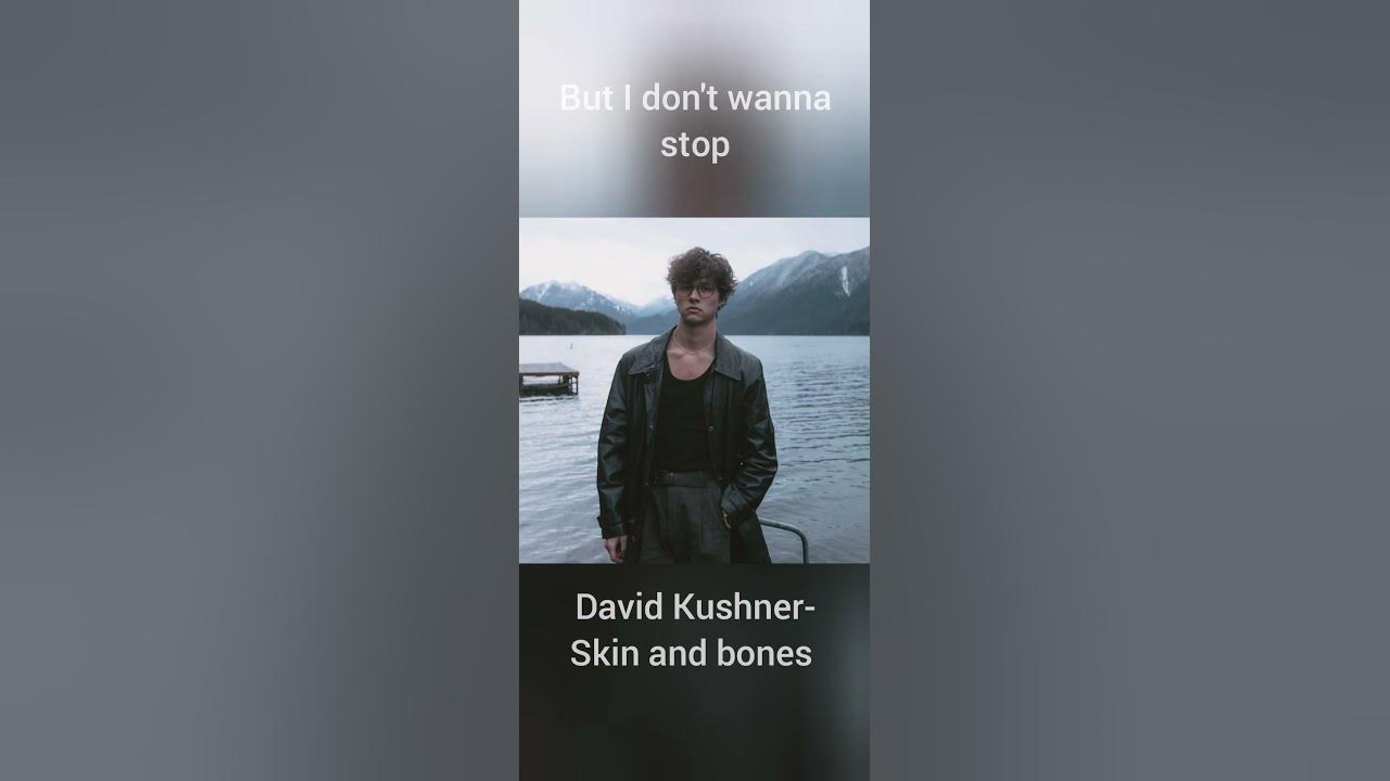 David Kushner-Skin and bones unreleased @david.kushner #davidkushner #skinandbones #lyrics #shorts