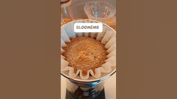 Slow mornings taste better through a Kalita Wave. Perfect bloom. Even extraction. #coffee