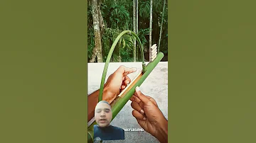 انا عارف ان الصوت مش واضح 