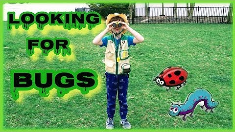 Explore Kit And Bug Catcher Kit