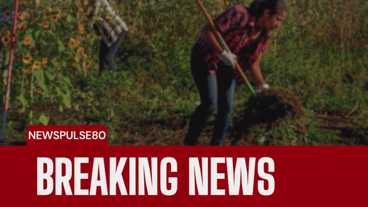 Ice’s ‘inhumane’ arrest of well-known vineyard manager shakes Oregon wine industry