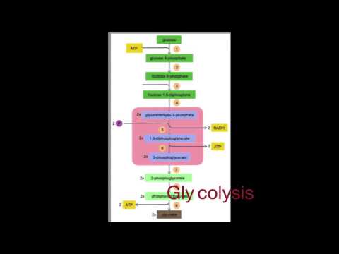 project topics for education biology students