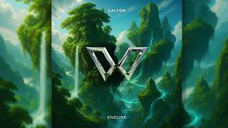 CALYON - Endure