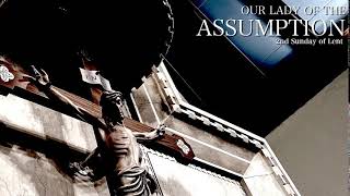 Live Stream from OLA Fairfield