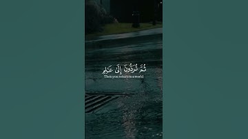 ‏تلاوة تستطيب بها الروح لآيات عظيمة ومؤثرة استمعوا لها