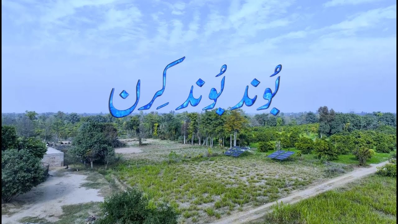 Boond Boond Kiran | Documentary | PTV HOME - YouTube