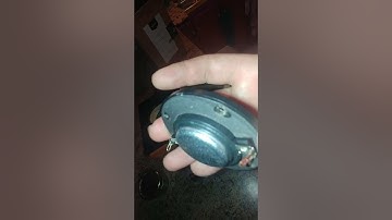 Amazon Basics Passive Bookshelf Speaker-look inside