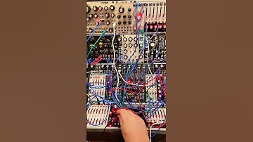 Penny Has A Nice Rack #modular #modularsynth #synth #gear #bonegunn