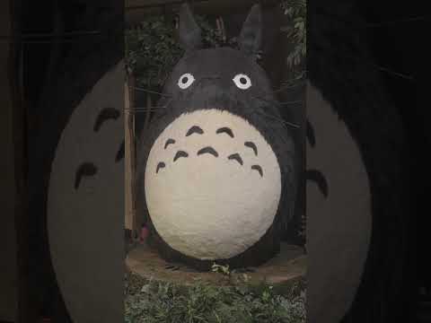 Spotting Totoro In Japan