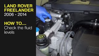 How to Check the fluid levels on a Land Rover Freelander 2006 to- 2014