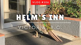 Where to stay in Victoria?|Helm's Inn B.C.|What you should know about Helm’s Inn and its location?