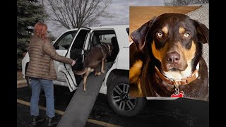 Stanley Episode 1 The Vet