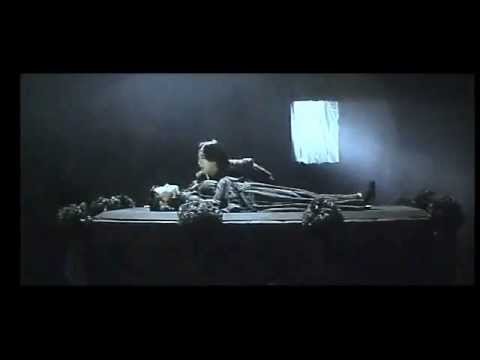 The Phantom Lover - Wei Qing Performs