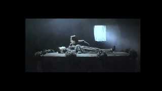 The Phantom Lover - Wei Qing Performs