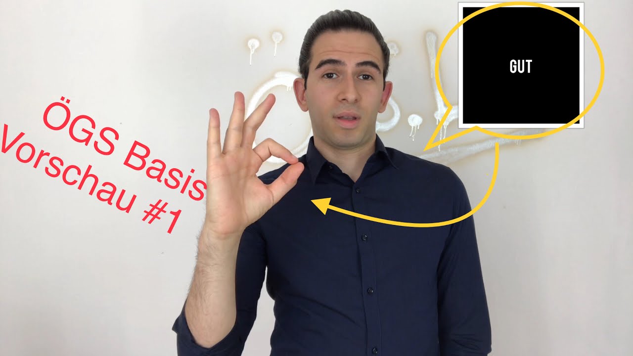 ÖGS Basis Vorschau 📚🙌🏻👀| ÖGS #1