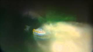 PHYSFX - Plasma fire 001 & Energy worms 001
