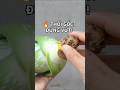Cách Cứu Cây Nha Đam Bị Thúi Gốc – Hồi Sinh Chỉ Sau Vài Ngày! 🌱🔥