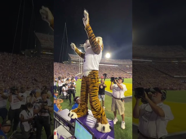 Louisiana football hits different. Death Valley is an experience you can’t miss. #tigers #football