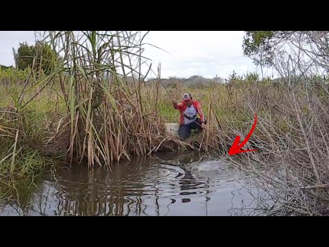 ONDE HÁ PEIXE ATÉ NO FRIO CONSEGUE PEGAR ELES.