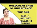 Molecular Basis Of Inheritance | Class 12 Biology | The DNA | CBSE | NCERT