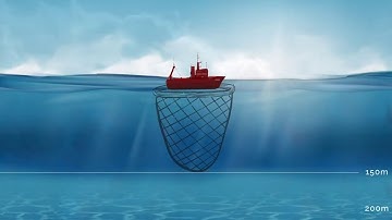 Сервис Ocean-O для TZ Professional v4