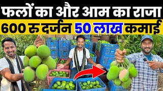 क्यों बिकते हैं अल्फांसो आम इतने महंगे🤔💯Alphonso Mango की खेती🥭😋Indian Farmer