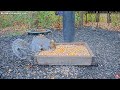 2023 11 07 Nordamerika , Eichhörnchen Streifenhörnchen und Vögel beim Wettrennen am Futternapf