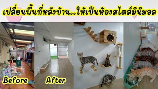 ปรับเปลี่ยนพื้นที่หลังบ้านรกๆ..ให้เป็นห้องเลี้ยงแมวสไตล์มินิมอล