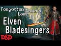 Forgotten realms lore  the bladesinger