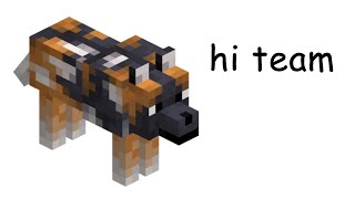 THE MINECRAFT DOG SONG