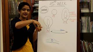 GENERAL EMBRYOLOGY - THE THIRD WEEK OF HUMAN DEVELOPMENT - DR ROSE JOSE MD DNB MNAMS