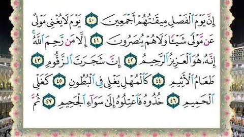 سورة الدخان الايات ٤٣-٤٩