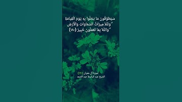 سورة آل عمران الآية ١٨٠ بصوت الشيخ #عبدالباسط_عبدالصمد #القرآن #القران_الكريم