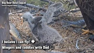 Big BearI Believe I Can Fly!Wingers And Cuddles With Dad20220321