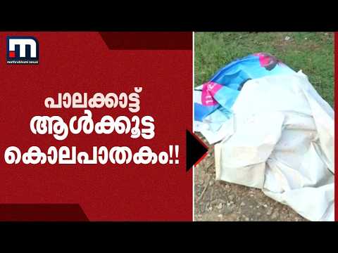 വീട്ടുമുറ്റത്ത് കിടന്നതിന് അതിക്രൂരത! പാലക്കാട്ട് ഭിക്ഷാടകനെ ഏഴംഗ സംഘം മർദിച്ച് കൊലപ്പെടുത്തി