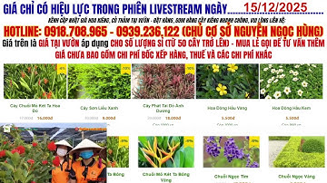 Cập Nhật Giá Cỏ Thảm Và Hoa Kiểng Sa Đéc Mới Nhất – Nhiều Loại Đẹp, Giá Bất Ngờ!