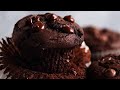 The BEST chocolate muffins (No false promises here!)