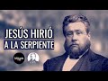 La primera promesa (Charles Spurgeon) - Meditación diaria