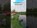 Левобережный пруд в Химках- платная рыбалка #рыбалка #химки