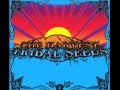 Tribal Seeds - 144.000