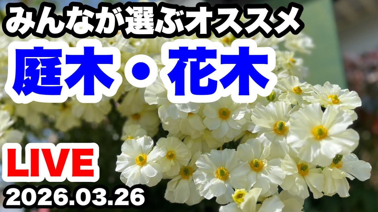 ◇Carefully Selected [Shrubs & Flowering Trees] Recommended LIVE