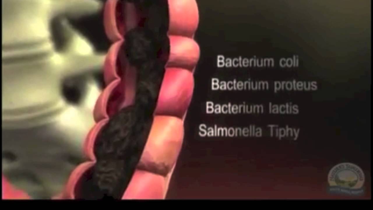 CKLS - Detox your waste management system