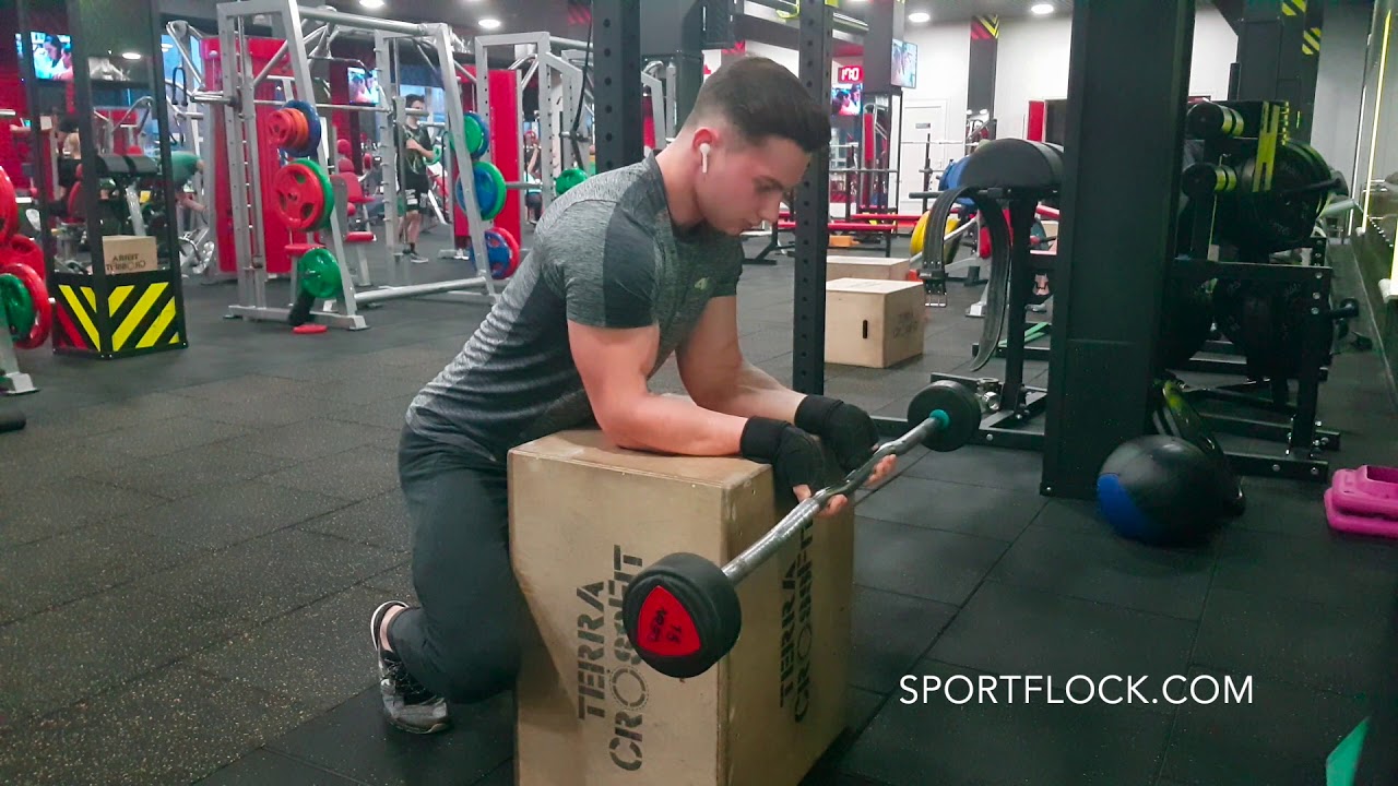 Palms Up Barbell Wrist Curl Over A Bench Sportflock