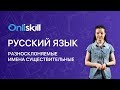 РУССКИЙ ЯЗЫК 6 класс: Разносклоняемые имена существительные