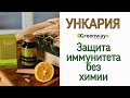 ЗАЩИТА ИММУНИТЕТА БЕЗ ХИМИИ. УНКАРИЯ. ГРИНВЕЙ