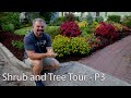 Shrub and Tree Tour - New Landscape 2020 - P3