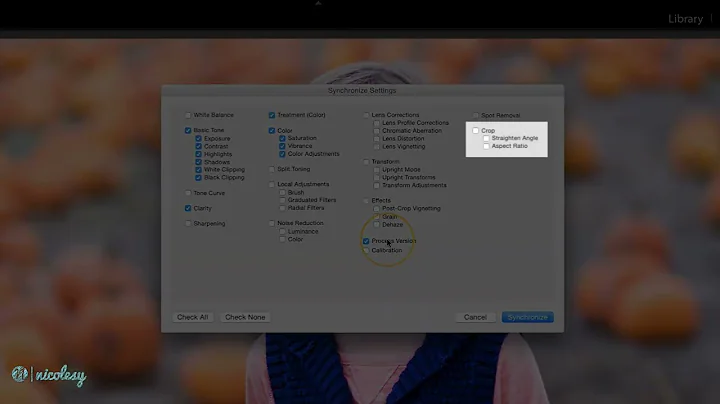 Syncing and auto syncing edits across images in Lightroom Classic