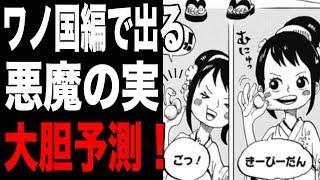 ワンピース フランキーに関する解けない謎と都市伝説 アニメ考察機関akk