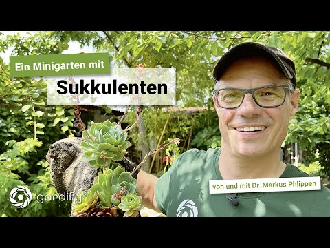 Video: Machen Sie Ihre eigenen kleinen Tontöpfe für frische Sukkulenten